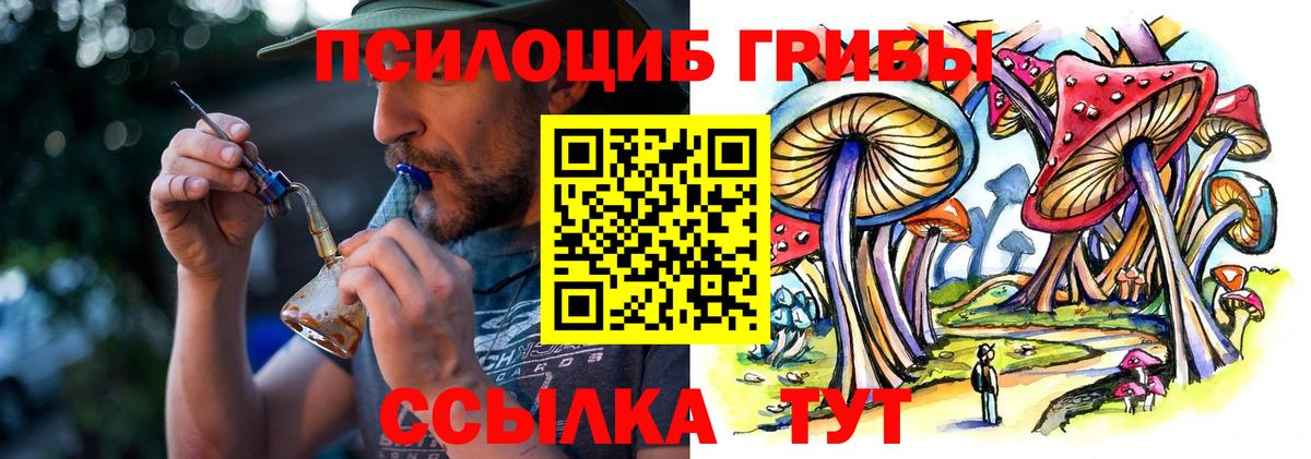 Тельмана  Галлюциногенные грибы GOLDEN TEACHER  Вход с VPN 