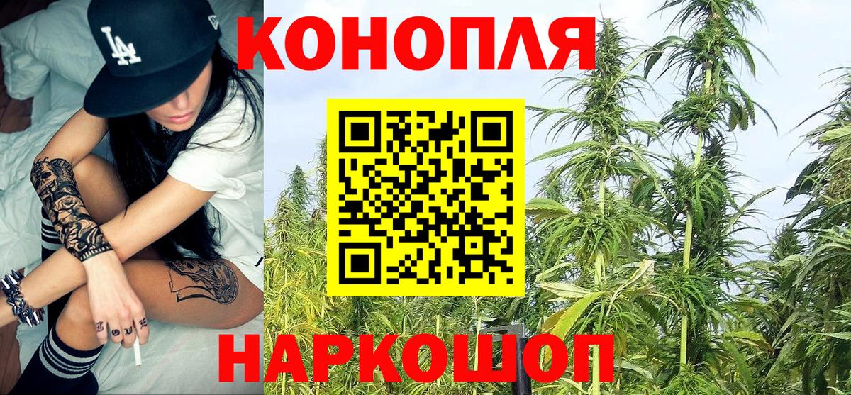 Бошки марихуана планчик Тельмана